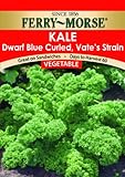 Ferry-Morse Seeds 1293 Kale - Dwarf Blue Curled, Vate's 2 Gram Packet