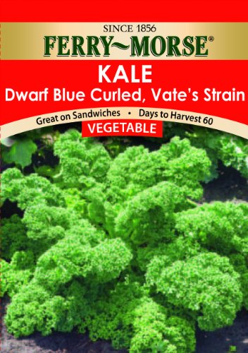 Ferry-Morse Seeds 1293 Kale - Dwarf Blue Curled, Vate's 2 Gram Packet