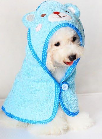 Magabee Soft Pet Dog Cute Cartoon Pajamas Dog Bathrobe Multifunction Absorbent Pet Bath Towel Animal Puppy Cat Warm Blanket Pet Supplies (Blue, Medium)