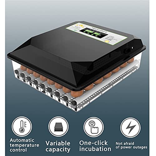 FHISD Brutmaschine für Hühnereier Brutmaschine für Hühnereier Brutmaschine für Hühnereier Automatische Brutmaschine für… – Bild 5