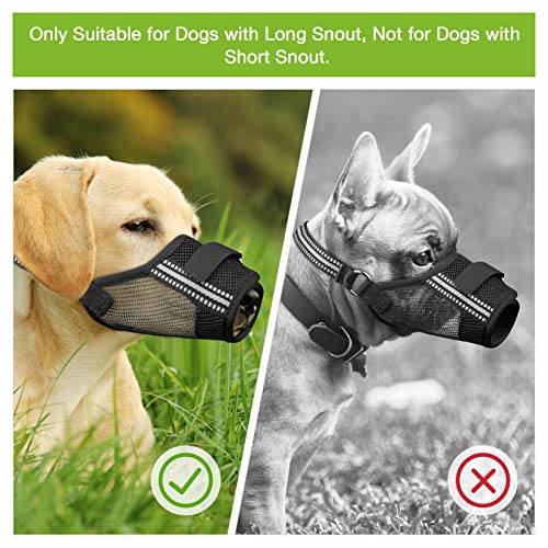 husher dog muzzle