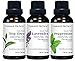 Natural Riches Aromatherapy Essential Oil Kit - Therapeutic Grade - Peppermint Essential Oil, Lavender Essential Oil & Tea Tree Essential Oil - Pack of 3-1 fl oz Each