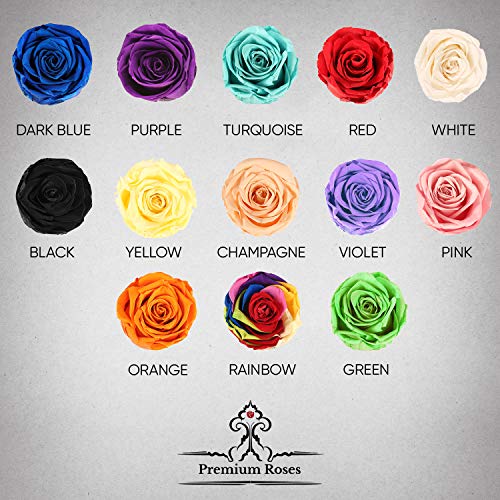 Premium Roses| Real Roses That Last a Year | Fresh Flowers| Roses in a Box (Burgundy Box, Large)