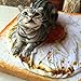 UEETEK Pet Blanket for Dog Cat,Animal Fried Egg Shaped Quilt Puppy Kitten Bed Sleep Mat
