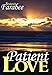 Patient Love: A novella by Sarah Farabee