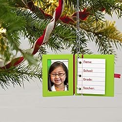 Hallmark Keepsake Christmas Ornament 2020