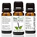 BioFinest Patchouli Oil - 100% Pure Patchouli Essential Oil - Premium Organic - Therapeutic Grade - Aromatherapy - Best for Bad Mood - Promote Better Sleep - FREE E-Book (10ml)