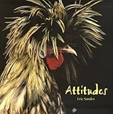 attitudes by