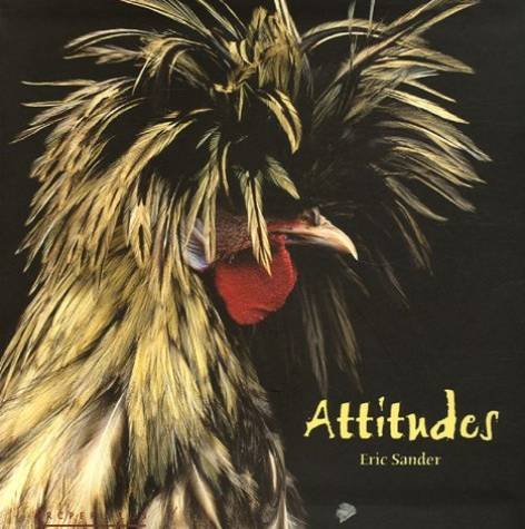attitudes by (Paperback)