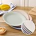 iTavah Microwave Plates for Baby Feeding (4-Pack) 7.28