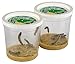 Insect Lore Deluxe Butterfly Garden with 2 Live Cups of Caterpillars & Feeding Kit