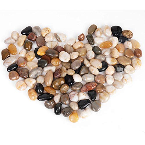 X Home 8 Pound Pebbles for Plants, 1/23/4 Inch Large River Pebbles, Decorative River Rocks for