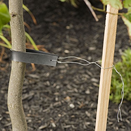 Gardener's Blue Ribbon T019B Sturdy Tree Ties