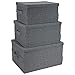 Bigso Soft Foldable Polyester Storage Box with Lid | Fabric Storage Bin with Lid and Handles for Closets and Rooms | Collapsible Storage Box for Clothes and More | 13.4″ x 17.7″ x 9.8” | Large | Grey