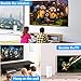TV Antenna Indoor, JoyGeek Digital HD Antenna 160 Miles Long Range for HDTV, Amplified Home Amping Antenna with Amplifier Signal Booster Signal Wave Support 4K UHF VHF Local Channels 16.5ft Coax Cable