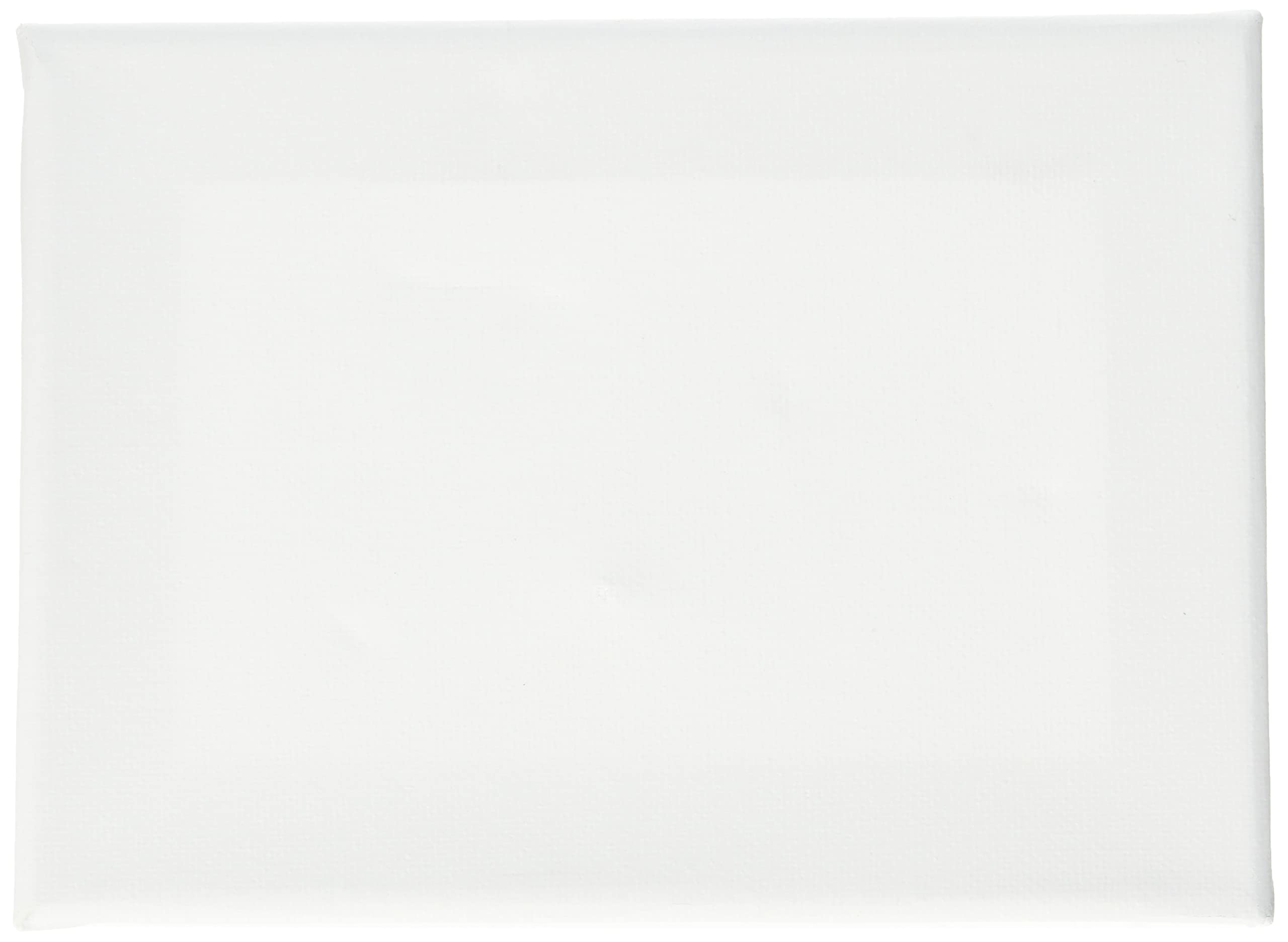 Stylex 13 x 18 cm Canvas Board