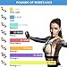 REEHUT Single Resistance Band Exercise Tube with Handle, Door Anchor and Manual, for Resistance Training, Physical Therapy, Home Workouts, Fitness, Pilates,Boxing Strength Training - Orange