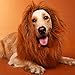 Funny Dog Costume, Lion Mane Wig for Dog Halloween Christmas Dress Up (Color: Black, Size: Large)