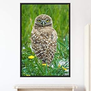 signwin Framed Canvas Wall Art Owl Birds Dramatic...