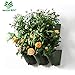 Worth Garden 3-Pack Olive Green Self-Watering Vertical Garden Wall Planters
