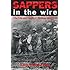 Sappers in the Wire: The Life and Death of Firebase Mary Ann (Williams-Ford Texas A&M University Military History Series)
