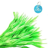 Caryko Fuzzy Bump Chenille Stems Pipe Cleaners, Pack of 100 (Light Green)