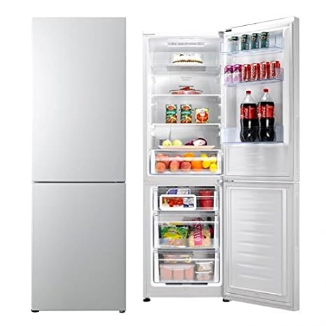 Hisense RD-44WC4SQB/CPA1 Independiente 326L A+ Blanco nevera y ...