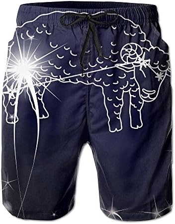 Men's Aries Swim Trunks Surfing Running Swimming Watershort