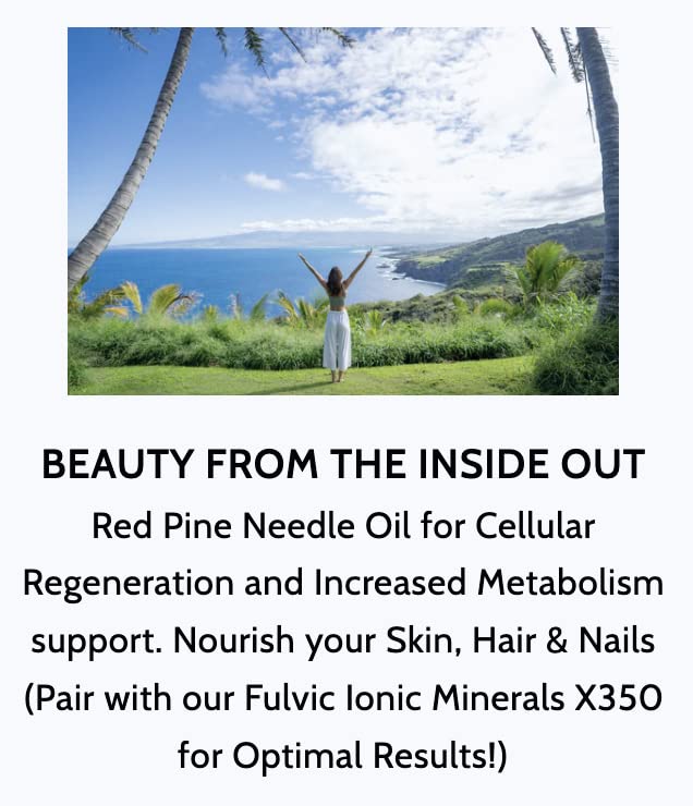 Optimally Organic Red Pine Needle Oil Caps - Health Supplement for Extreme Immune System Support - Vital Cell & DNA Support - #1 Vegan Body Cleanse for Foreign Invadors - Pinus densiflora - BioActive