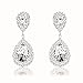Miraculous Garden Womens Crystal Rhinestone Wedding Hypoallergenic Drop Earrings for Mother's Day Silver Gold Rose Gold Plated