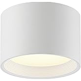 Access Lighting 50007LEDD-WH/ACR-120V Reel - 30W 1 LED Flush Mount-5.25 Inches Tall and 8 Inches Wide, Finish Color: White, L