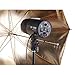 Square Perfect SP3500 Complete Portrait Studio Kit w/Flashes-Softboxes & More