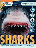 Discovery Kids Sharks: Discover Their Underwater World!