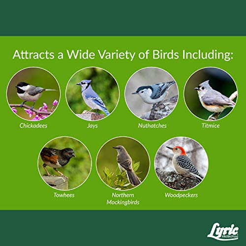 Lyric Woodpecker Wild Bird Seed No Waste Bird Seed with Nuts, Dried