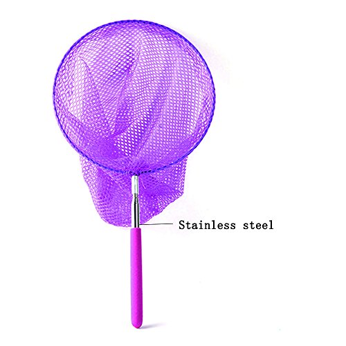 2 Bestie+Gear+Telescopic+Butterfly+Catching+Extendable