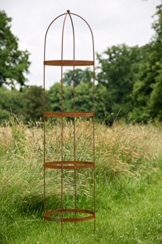 Spaliere Garten Terrasse 120cm Volleisen Rost Obelisk Rosenhilfe Rankgitter Rankhilfe Rankgerust H Patronlarinensesindeyiz Org