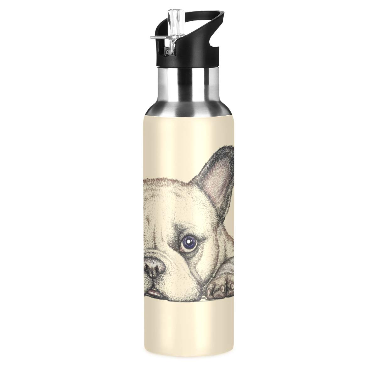 ALAZA Stainless Steel Water Bottle with Straw, Cute French Dog Bulldog Insulated Drink Flask Sports Water Bottle for Kids Adults, Leakproof, 600ml