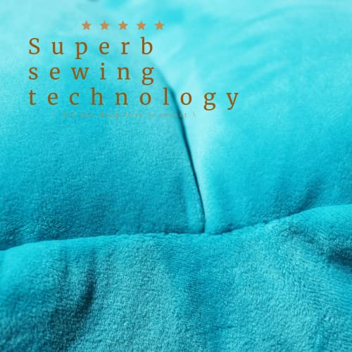 Shell Pillows,Seashell Pillows for Bed,Sofa,Couch,Decorative Shaped Throw Pillow Case Gift for Kids,Girl,Boy,Women,Sea Princess (Navy Blue,S)