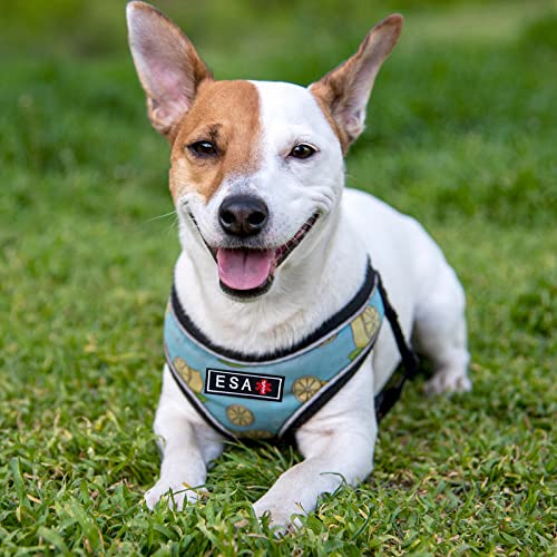 TACVEL 2 Pieces Emotional Support Animal Patch for Dog, Vest Removable Tactical Patches Hook and Loop Harness American Flag Dog Patches Set for Dog Harness Vest Collar