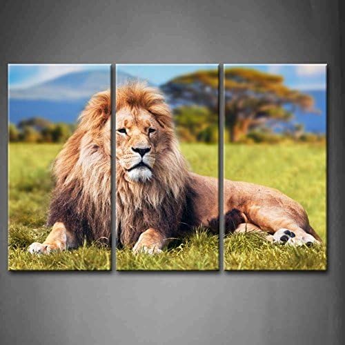 Canval prit painting 3 Panel Wall Art Big Lion Lying On Savannah Grass With Trees And Hills The Picture Print On Canvas Animal Pictures piece