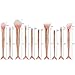 Yoseng Makeup Brush Set Mermaid Beauty Cosmetic Tools Kabuki Professional Fishtail Bottom Blush Foundation Blending Eyeliner Powder Eyeshadow Cream Concealer Eyebrow Brushes 10psc (champagne)