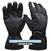 ZIONOR Lagopus SG3 Ski Snowboard Waterproof Winter Gloves for Adult Men and Women