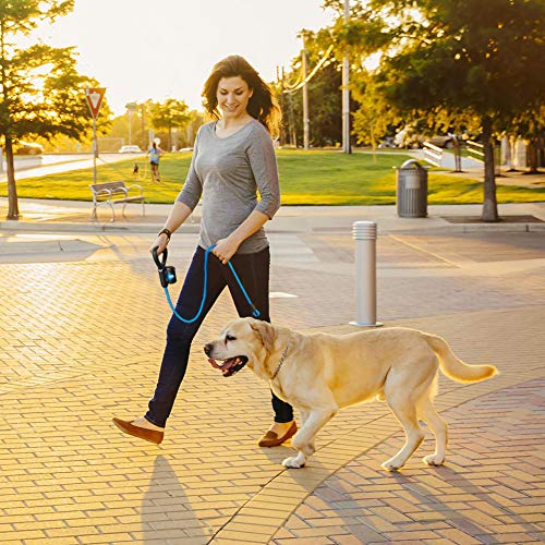 5FT Strong Dog Leash with Heavy Duty Padded Comfortable Handle Built-in Dog Waste Dispenser and Bags for Walking Training Hiking Outdoors (5FT, Black)