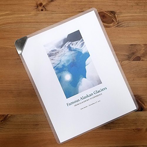 DocIt Flip n' Clip Report Cover with Swing Clip, Works with Portrait or Landscape Presentations, Holds 25 Sheets, Frosted (00721)