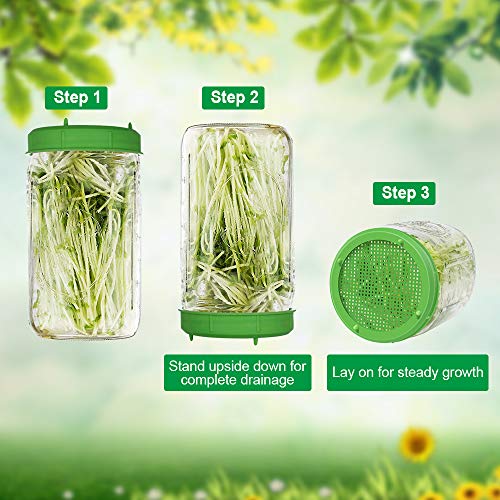 Picowe 8 Pack Plastic Sprouting Lids, Sprouting Jar Strainer Lid, for 86mm Wide Mouth Mason Jars, Canning Jars, Suit for Grow Bean Sprouts, Alfalfa, Salad Sprouts etc. - Thumbnail 4
