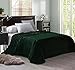Exclusivo Mezcla Fleece Blanket Queen Size for Bed, Super Soft and Warm, All Season Use, Cozy, Plush, Lightweight, 90x90 Inches, Forest Green