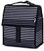 PackIt Freezable Lunch Bag, Gray Stripes, Built with EcoFreeze Technology, Foldable, Reusable, Zip and Fold Closure with Buckle Handle, Perfect for School and Office Lunches