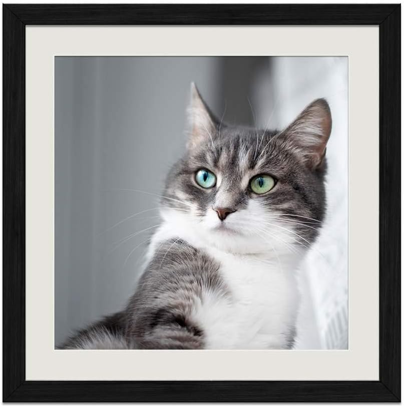 Amazon Com Kaohun Gray Cat Green Eyes Room Black Wood Frame
