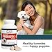 Best Value Probiotic for Dogs, 90 chewable tablets, 7 Beneficial Strains, 4 Billion CFUs per tablet, Acidophilus probiotics for Digestion and Immune Support