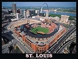 White Mountain Puzzles St Louis Stadium - 550 Piece Jigsaw Puzzle